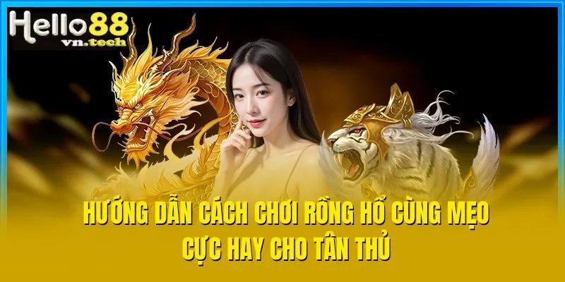 Hướng Dẫn Cách Chơi Rồng Hổ Cùng Mẹo Cực Hay Cho Tân Thủ